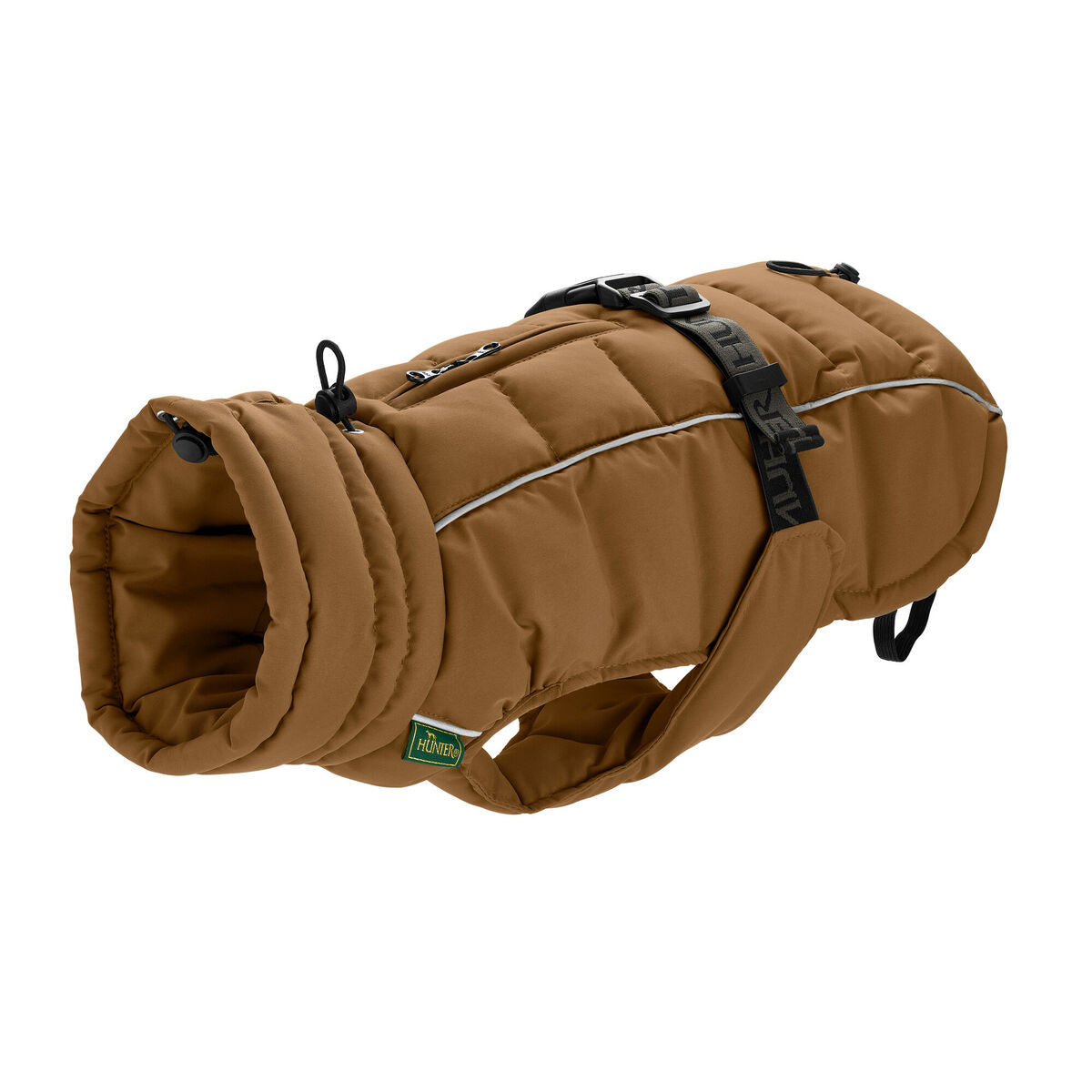Abbigliamento e accessori per cani