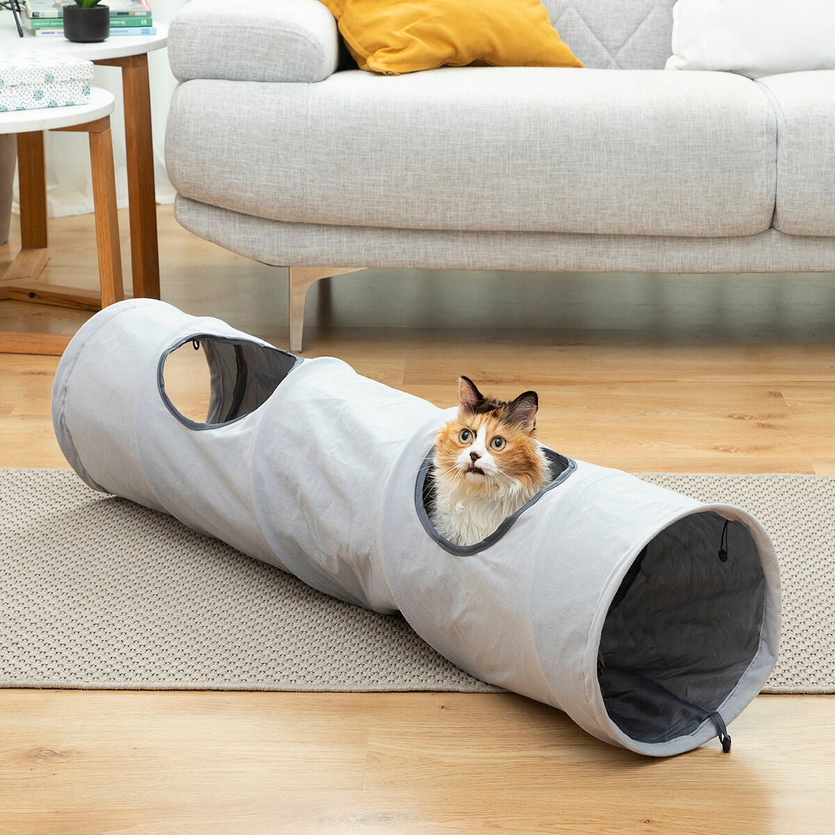 Giocattoli per gatti