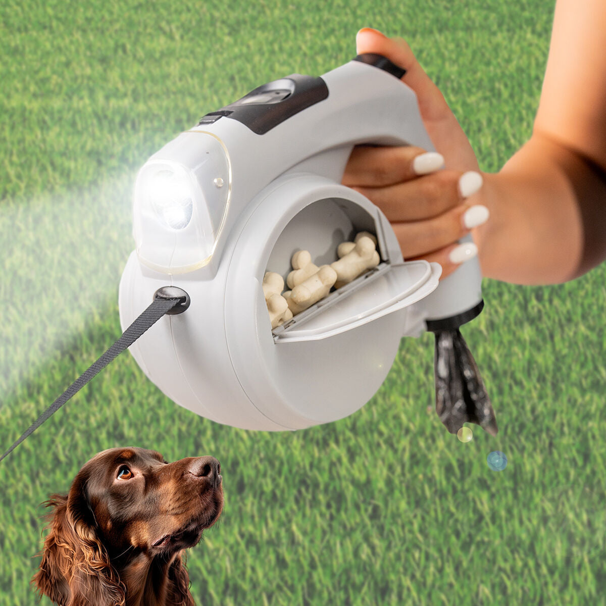 Collari, imbracature e guinzagli per cani
