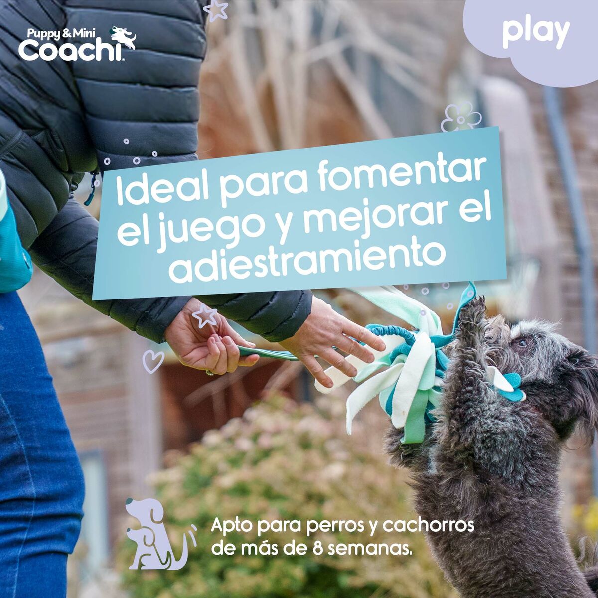 Giocattoli per cani Coachi PUPPY & MINI TUGGI SPIDER Verde
