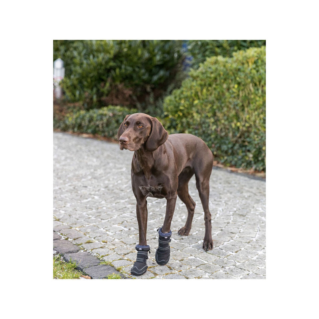 Scarpe per cani Trixie 19410 Nero