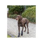 Scarpe per cani Trixie 19410 Nero