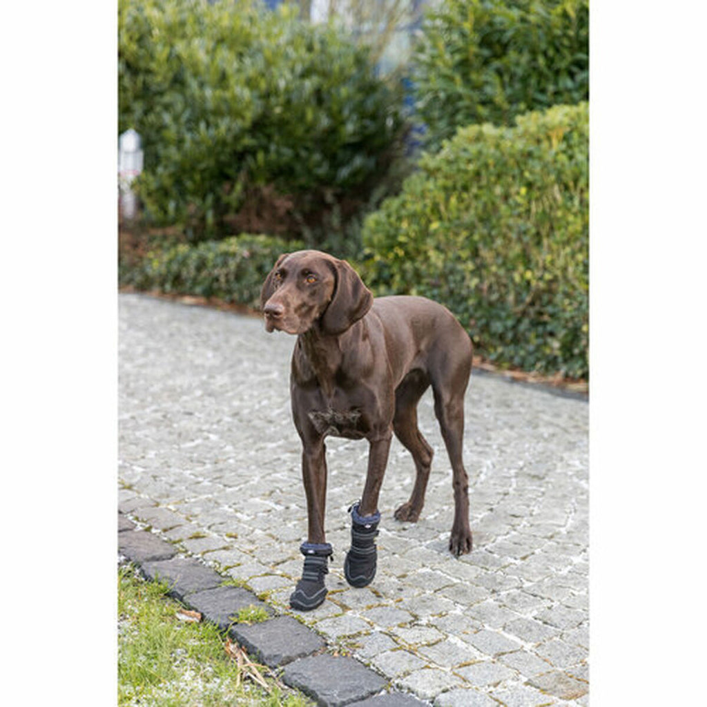 Scarpe per cani Trixie 19410 Nero