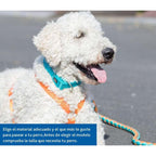 Pettorina per cane Trixie New Premium Rosso