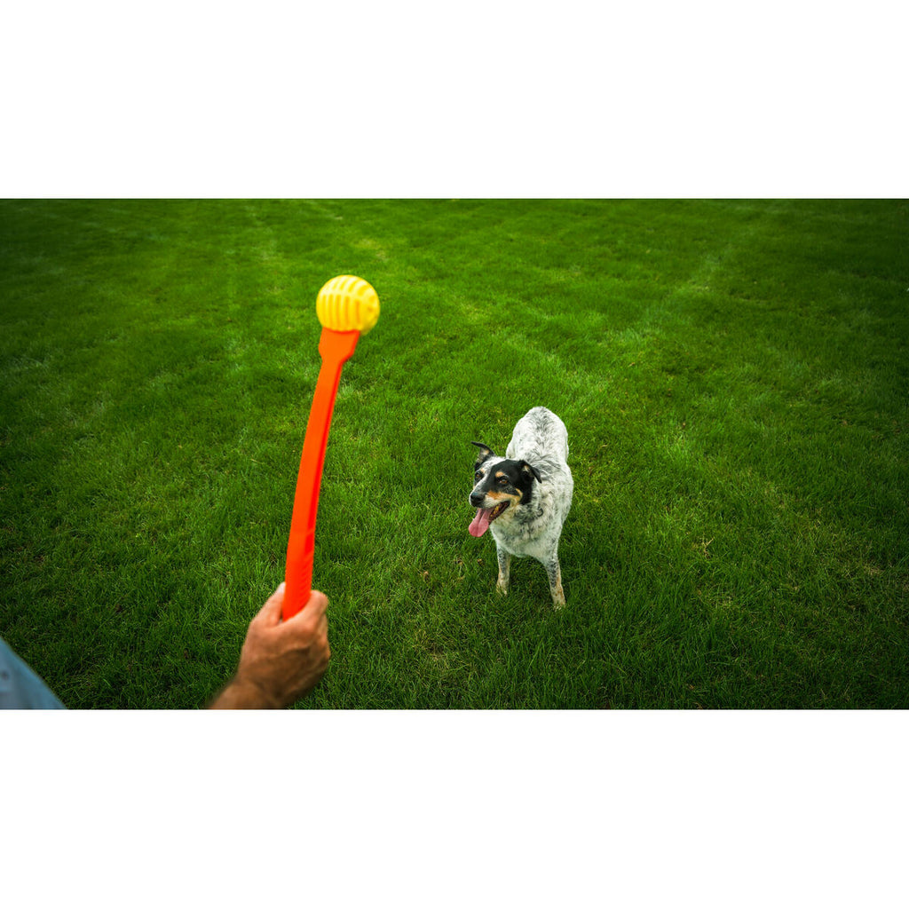 Lancia Palline per Cani Hunter Giallo Arancio Gomma Sfera