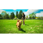 Lancia Palline per Cani Hunter Giallo Arancio Gomma Sfera