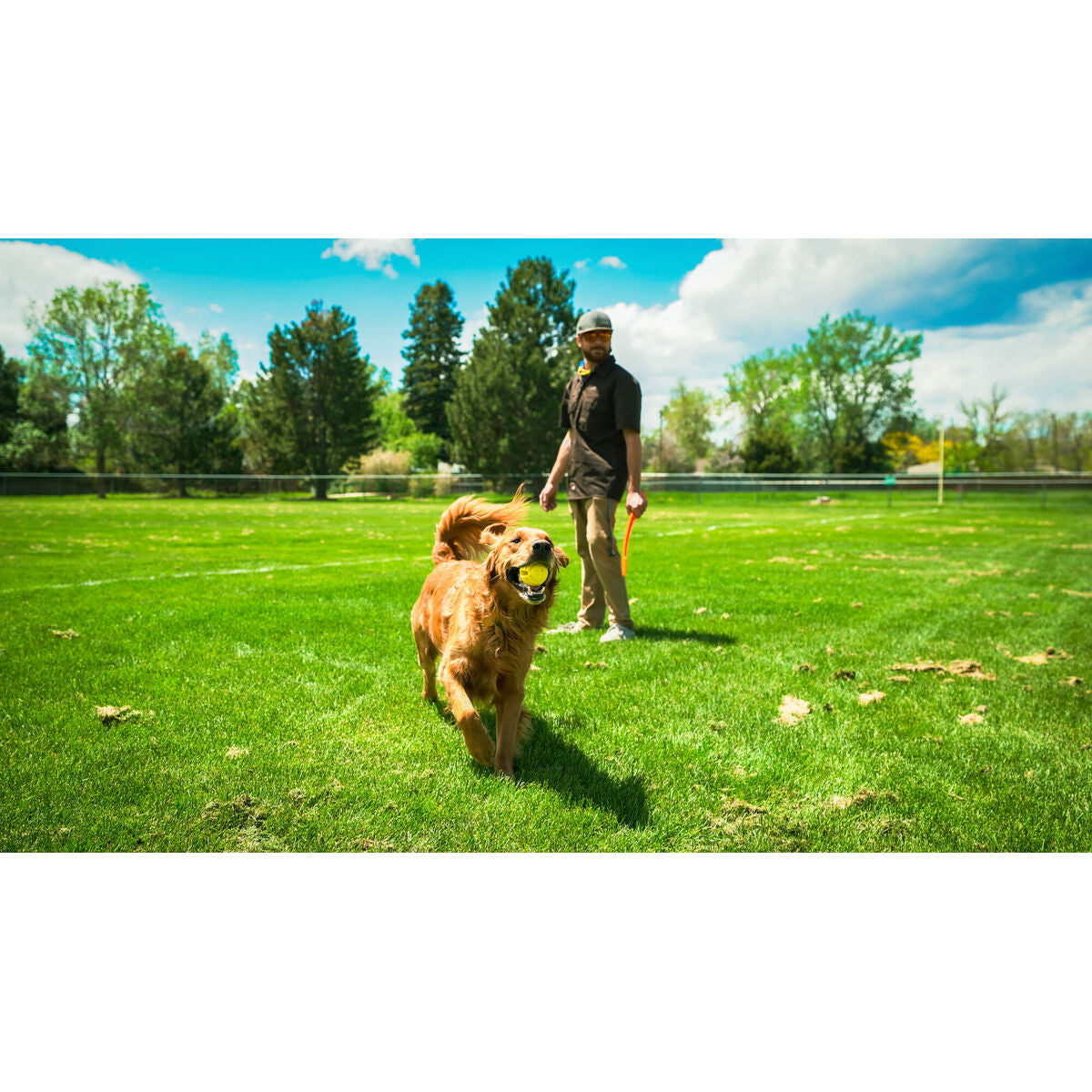 Lancia Palline per Cani Hunter Giallo Arancio Gomma Sfera