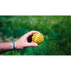 Lancia Palline per Cani Hunter Giallo Arancio Gomma Sfera