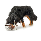 Ciotola per cani Hunter Silicone Acciaio inossidabile 1,05 L