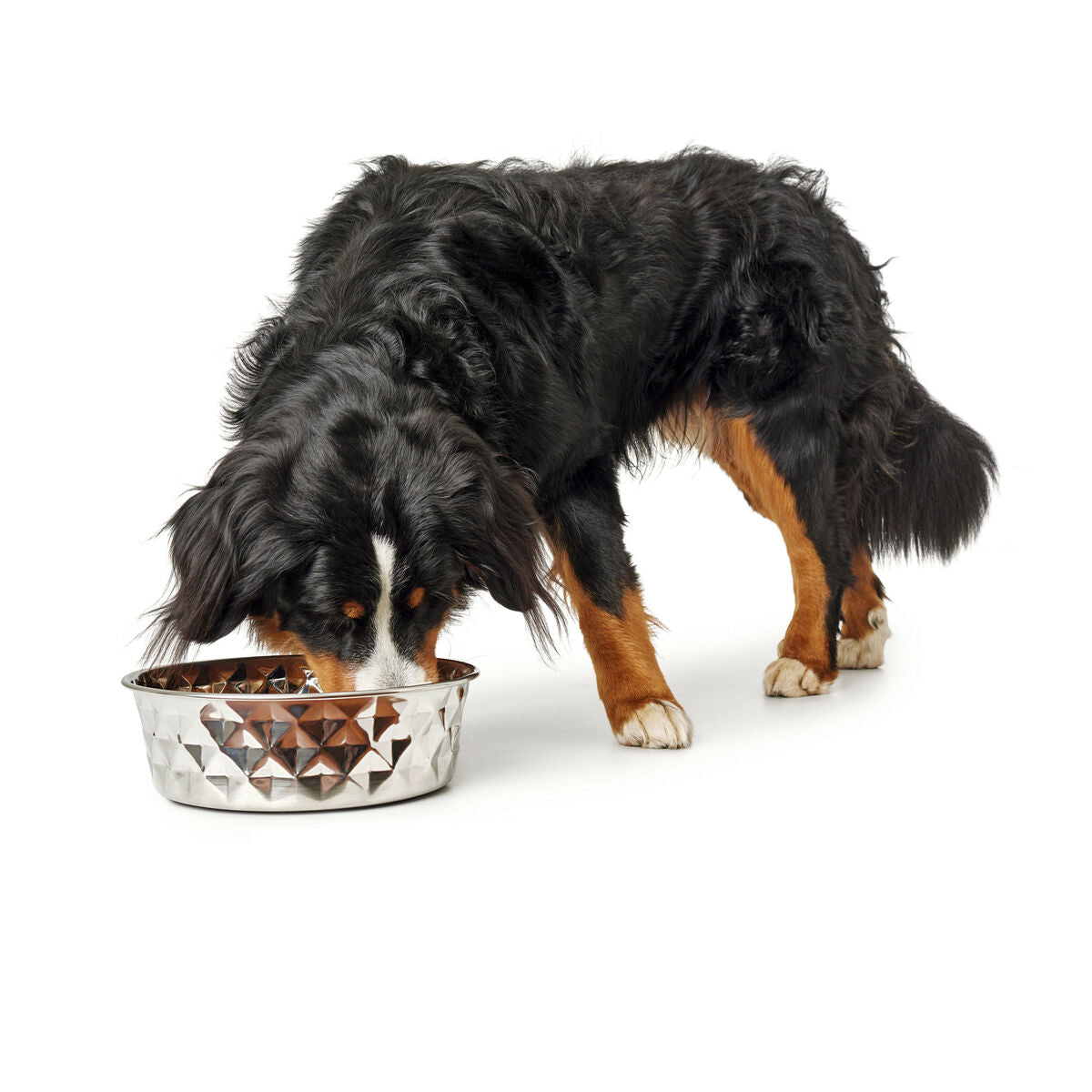 Ciotola per cani Hunter Silicone Acciaio inossidabile 1,05 L