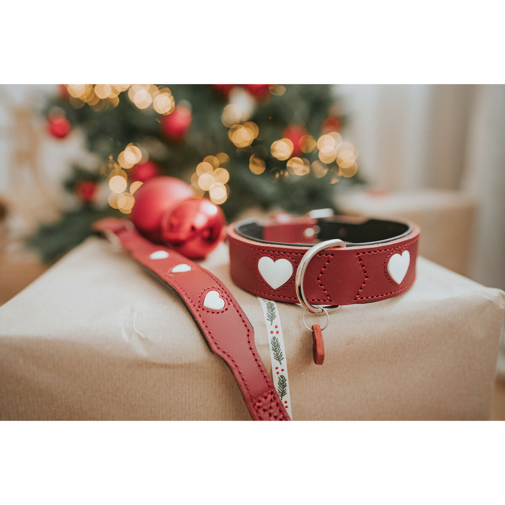 Collare per Cani Hunter Love Rosso XS 24-28 cm