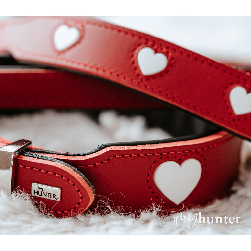 Collare per Cani Hunter Love Rosso XS 24-28 cm
