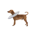 Collare elisabettiano per cani Trixie 19423 Grigio Schiuma