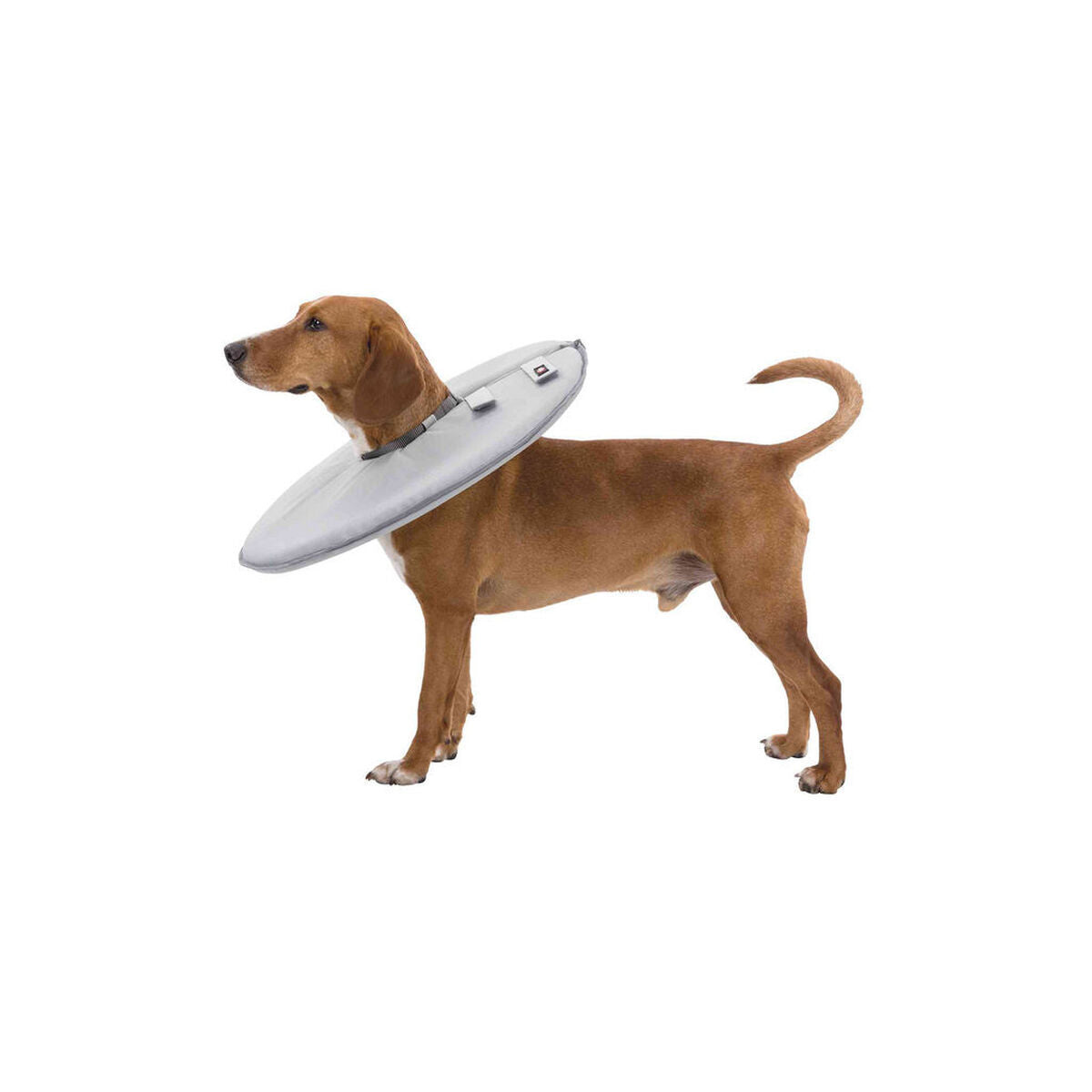 Collare elisabettiano per cani Trixie 19423 Grigio Schiuma