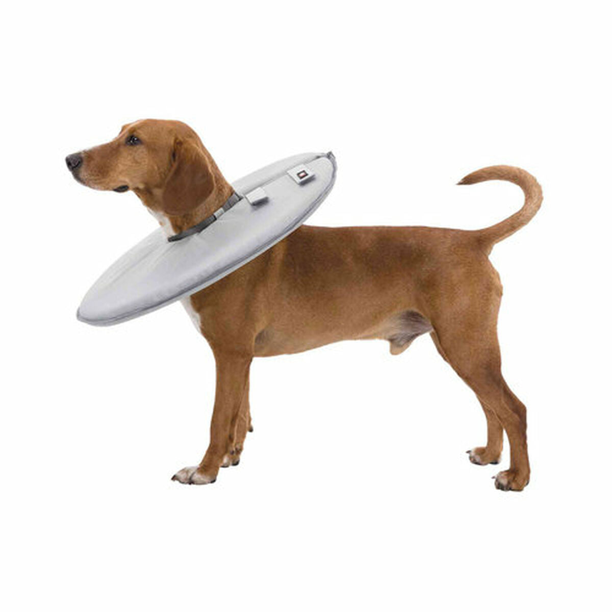 Collare elisabettiano per cani Trixie 19423 Grigio Schiuma