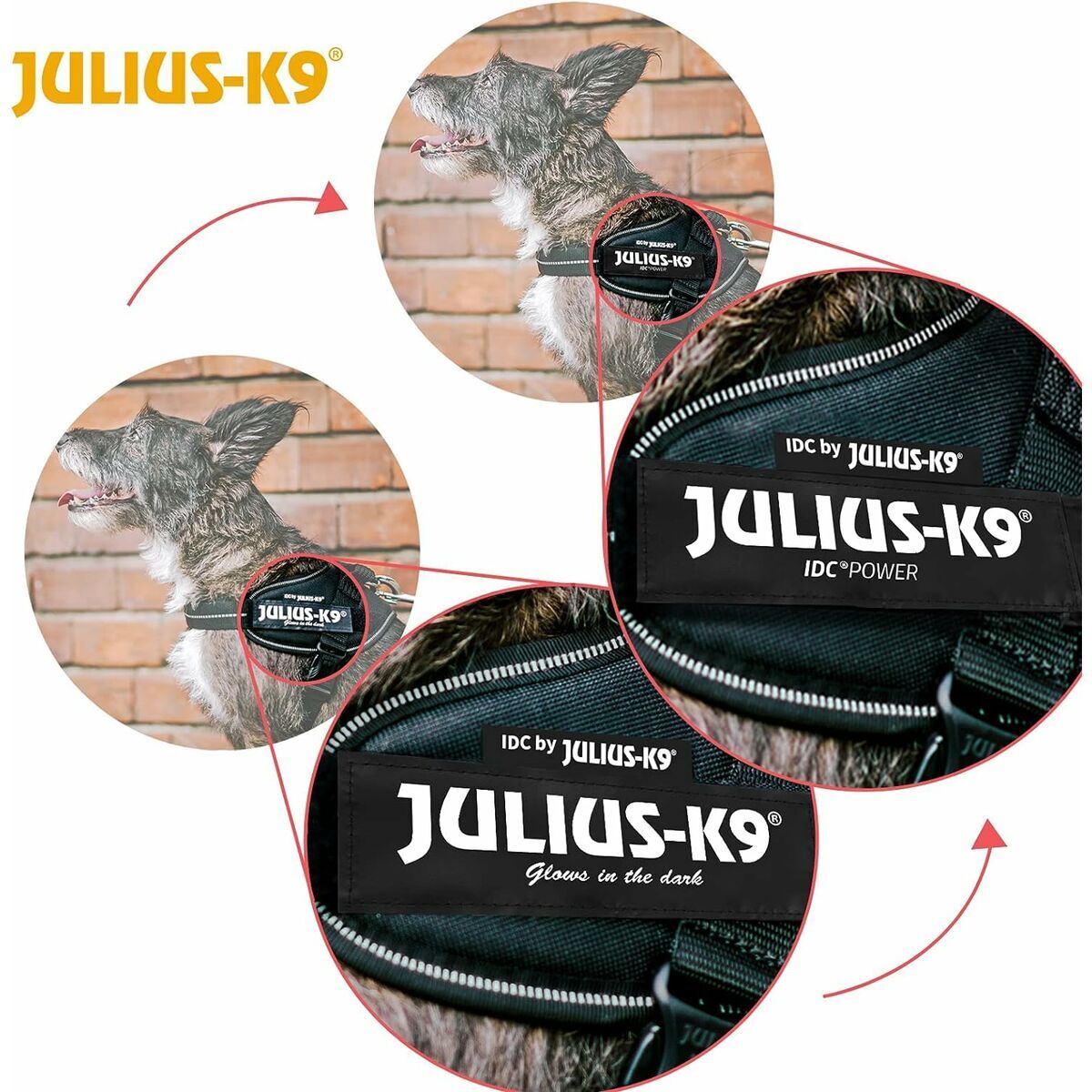 Imbracatura per Cani Julius K9 IDC Nero