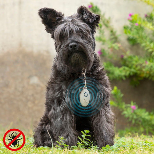 Antiparassitario a Ultrasuoni Ricaricabile per Animali Domestici PetRep InnovaGoods